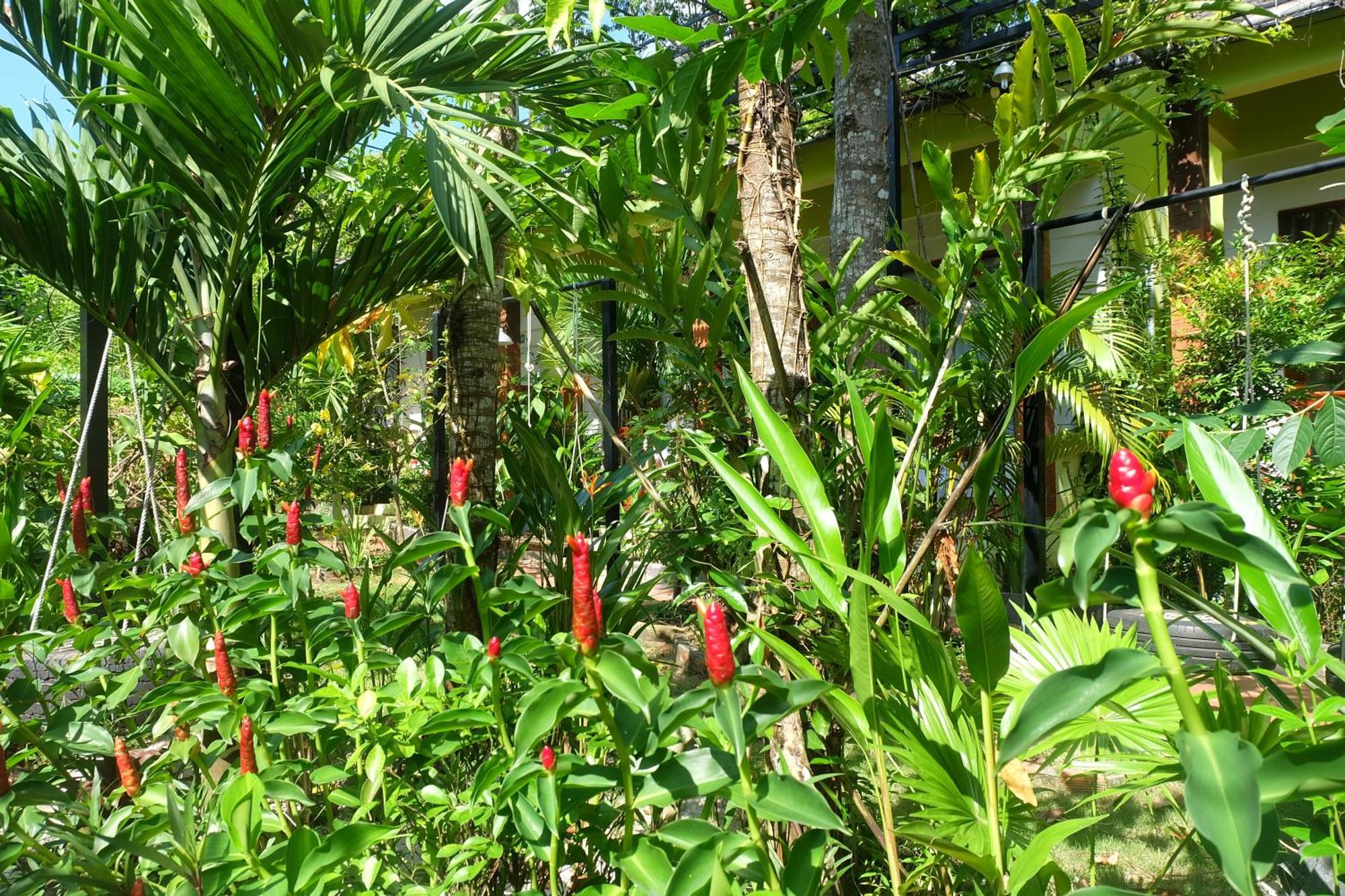 Mai Binh Phuong Bungalow Phú Quốc Exterior foto